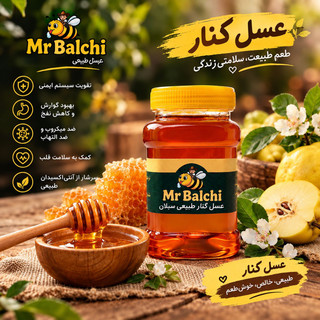 عسل کنار سبلان ممتاز درجه یک(خرید از زنبوردار)